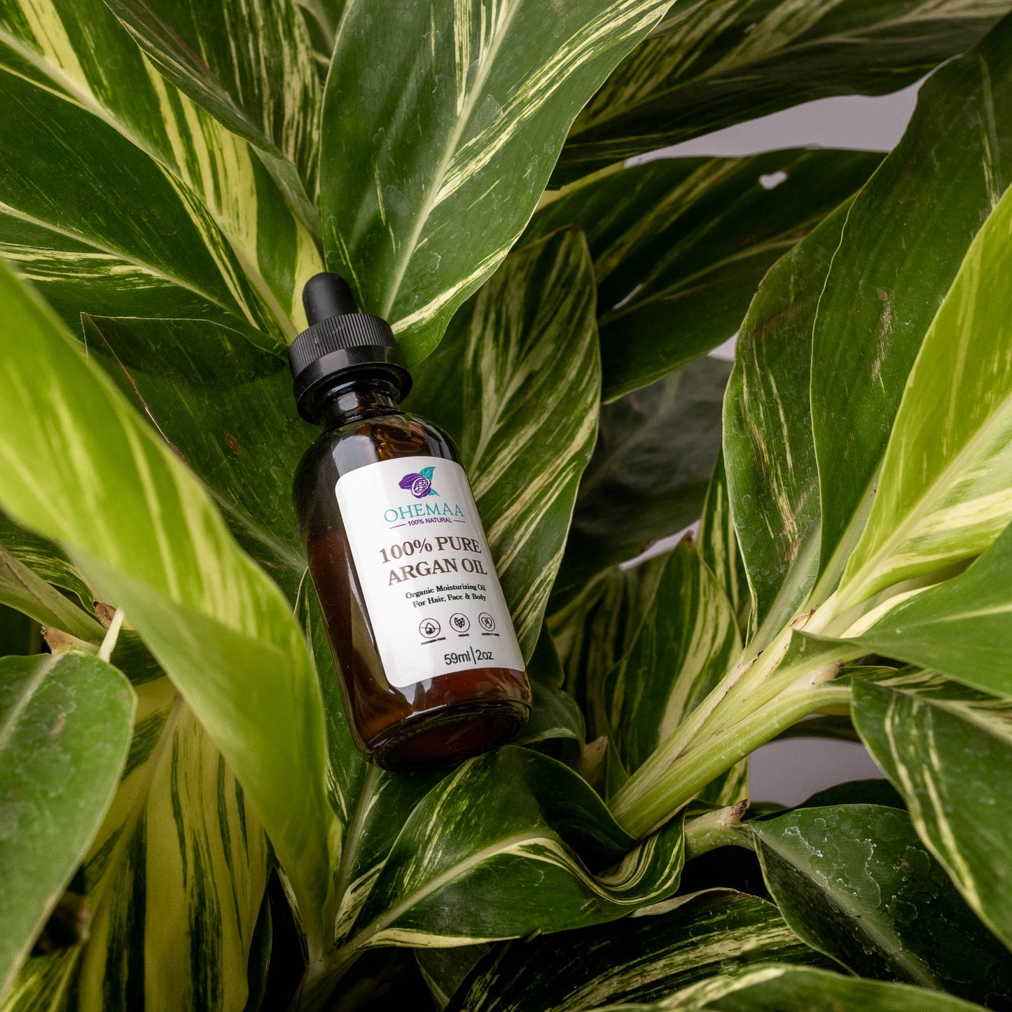 Argan Oil