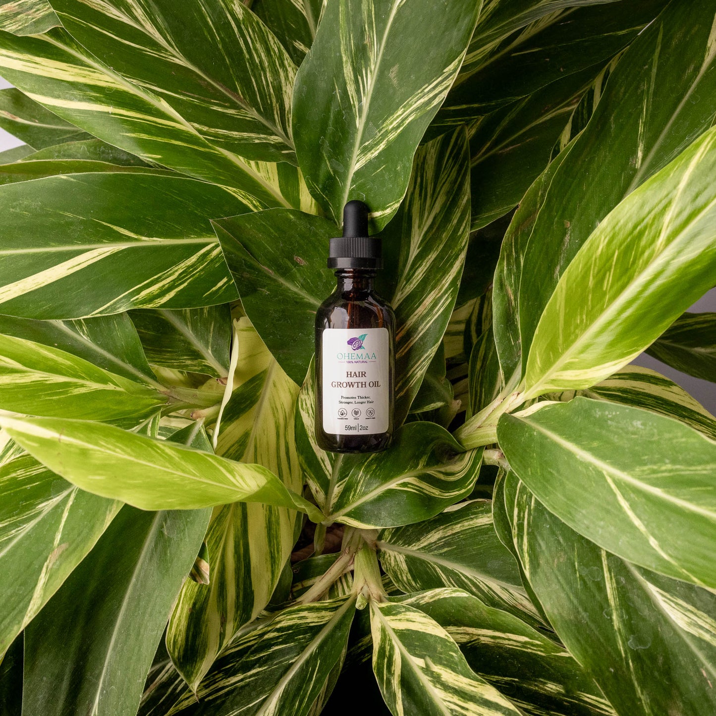Hair Growth Oil