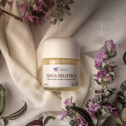 Shea Nilotica